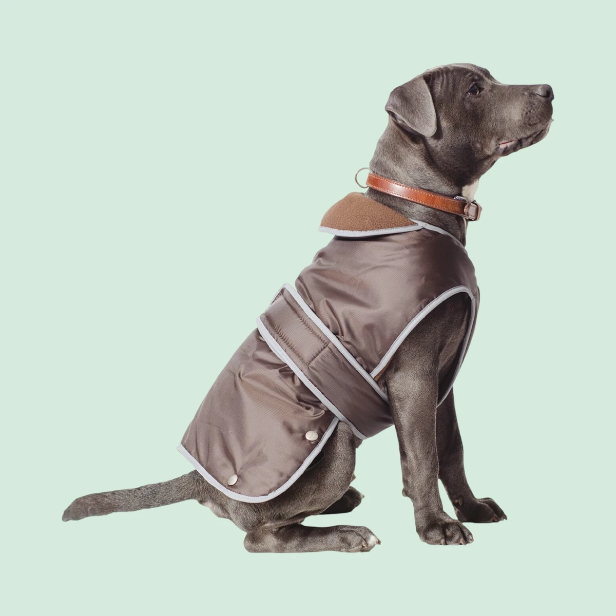 Ancol Muddy Paws Stormguard Coat