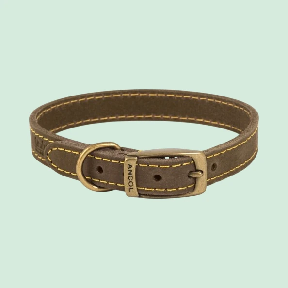Ancol Sable leather collar, size 7