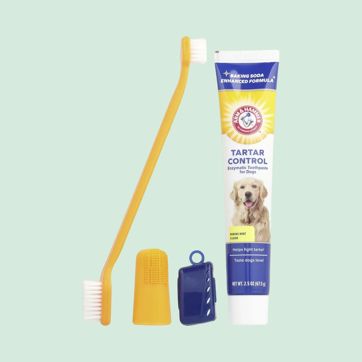 Arm & Hammer Tartar Control Dental Kit, banana mint