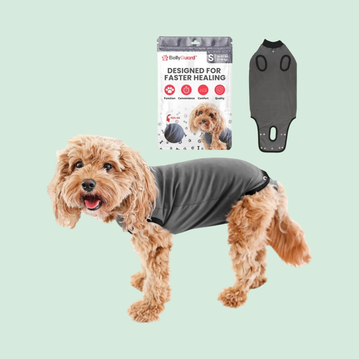 BellyGuard Recovery Suit