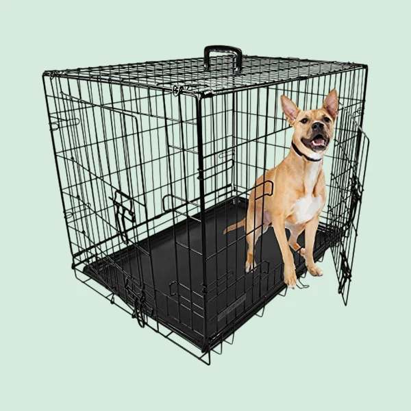 DogCrates+ Folding Crate, medium, two doors