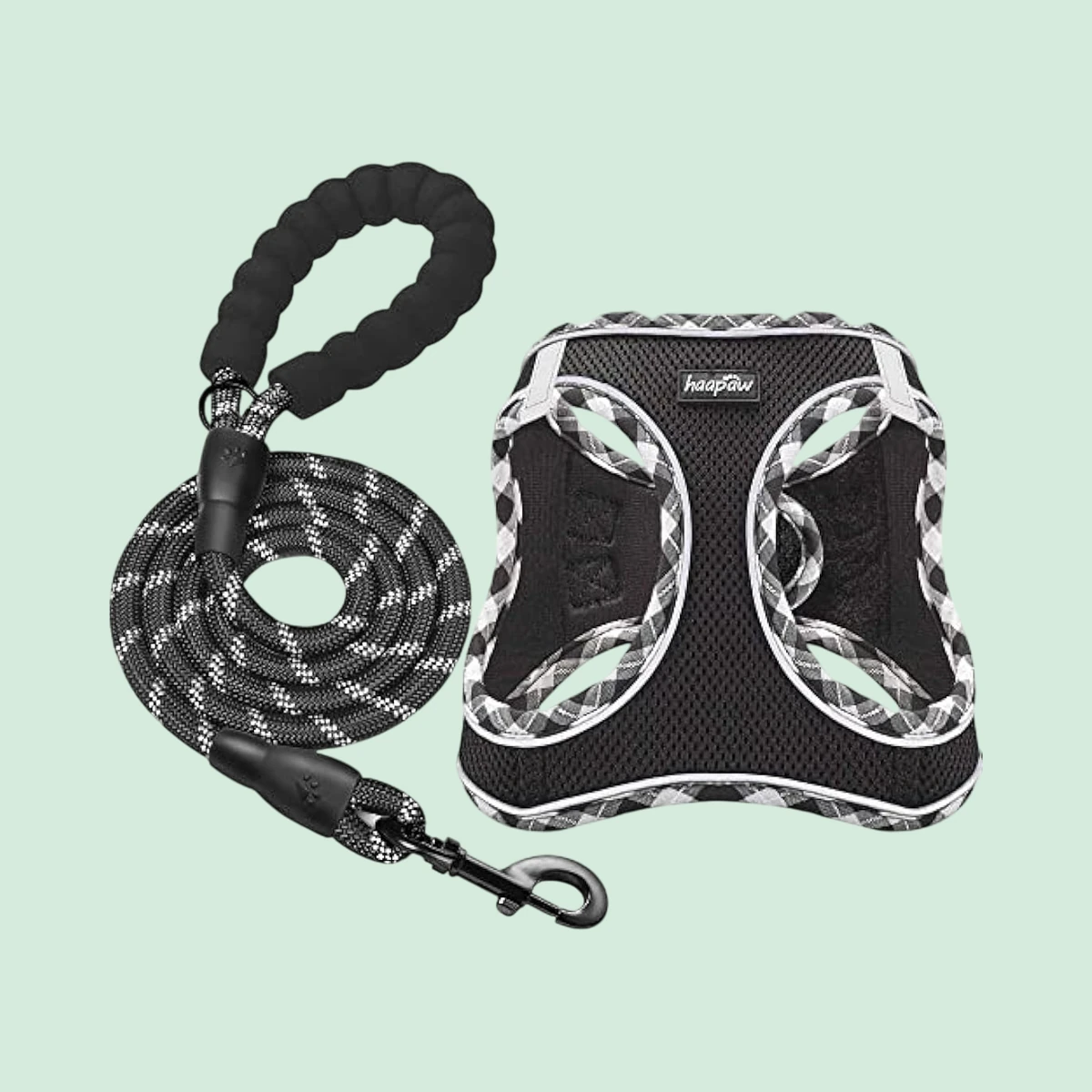 haapaw Step-in Harness and Lead Set