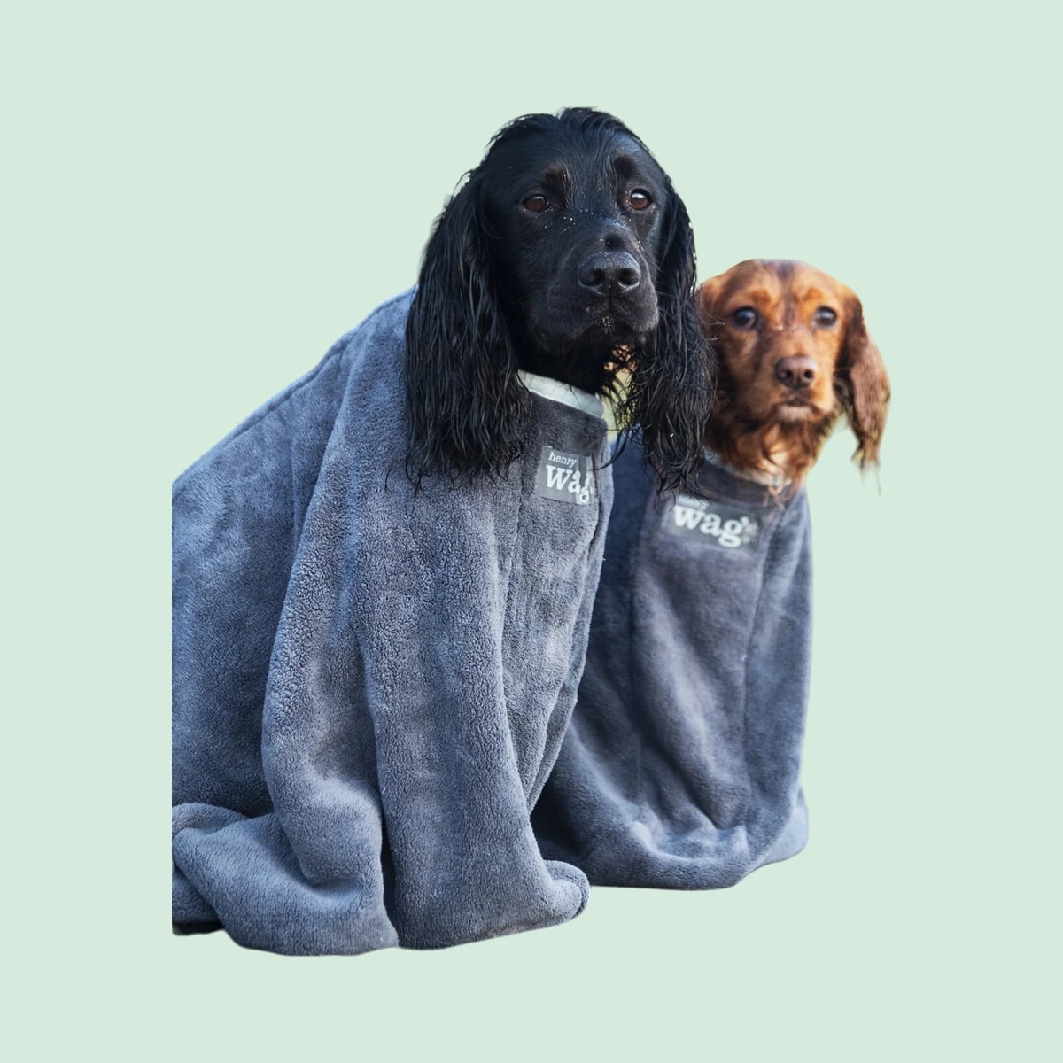 Henry Wag Microfibre drying bag, five sizes