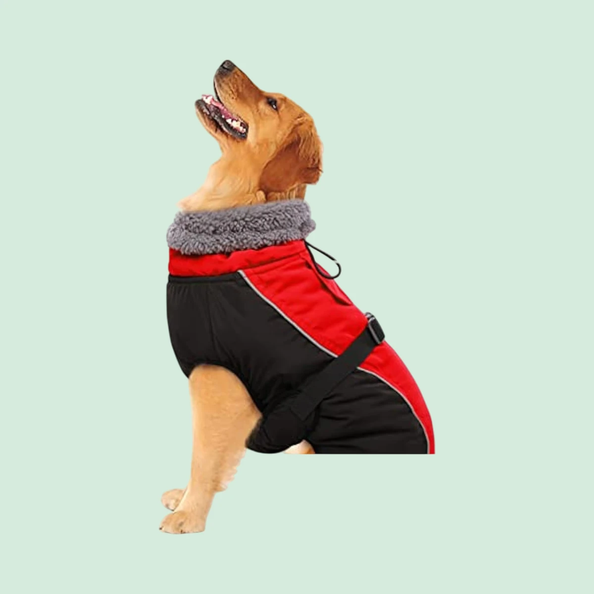IECOii Extra Warm Turtleneck Dog Coat