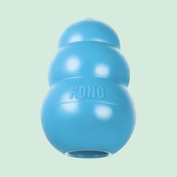 KONG Puppy, teething