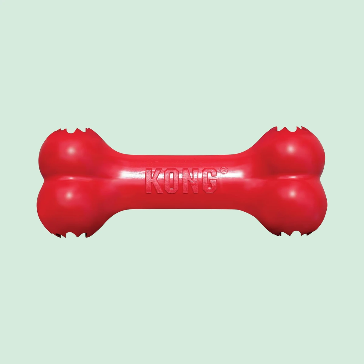 KONG Treat dispensing rubber bone, small