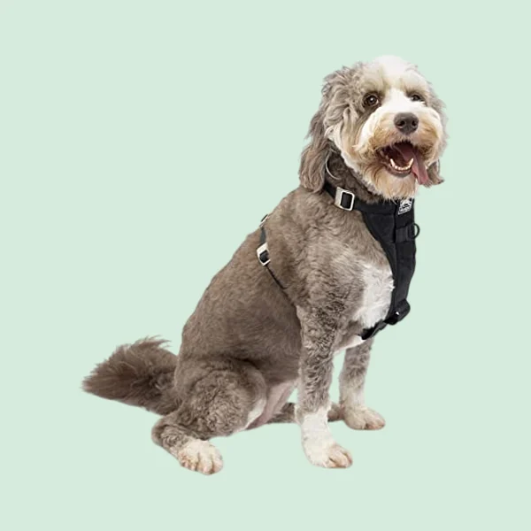 Kurgo Tru-Fit Car Harness