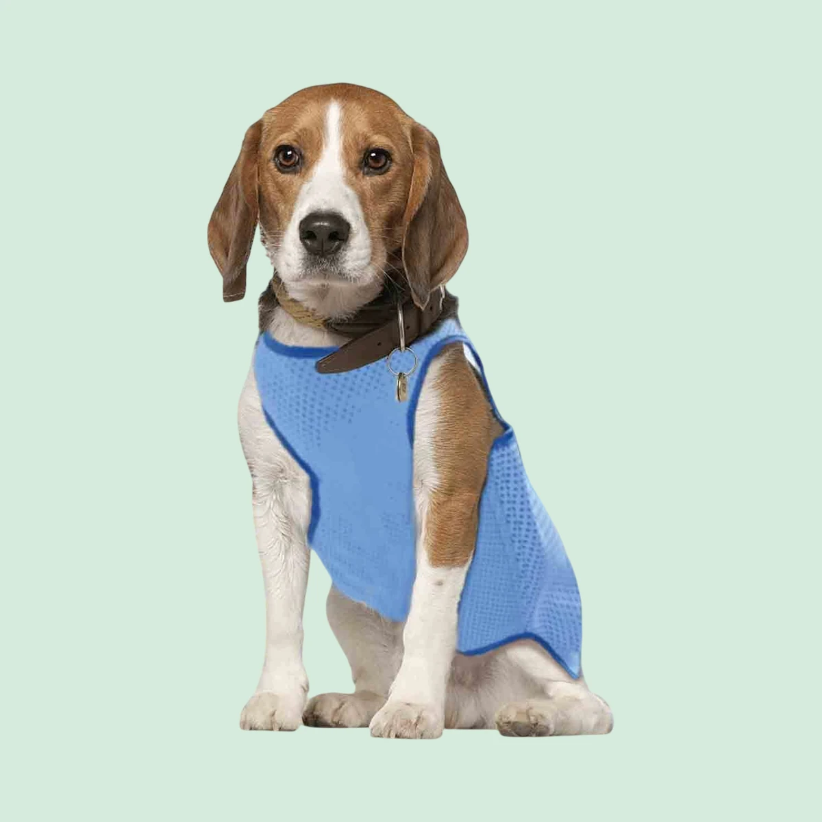 Pet Living Reflective cooling vest, three sizes