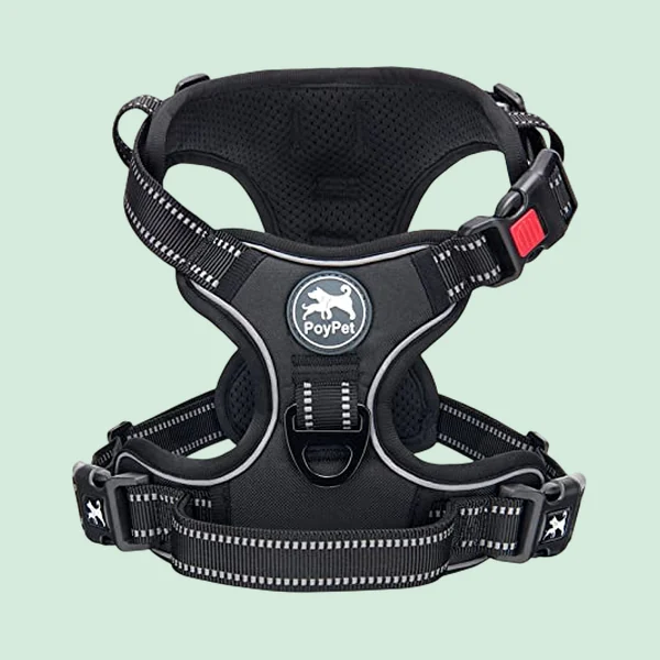 PoyPet No-Pull Harness, medium