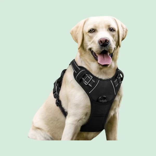 rabbitgoo No-Pull Harness, large