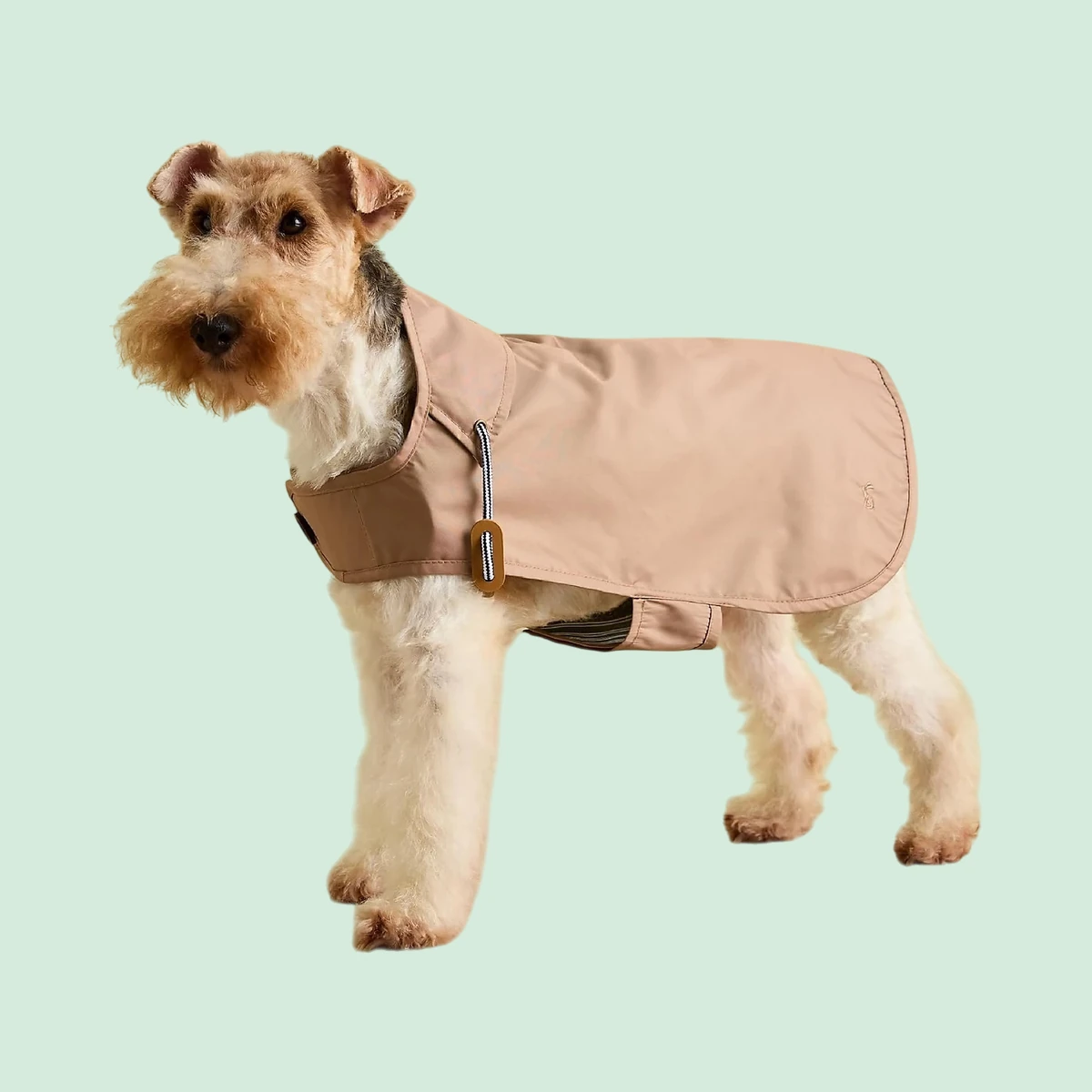 Rosewood Joules Burra Raincoat