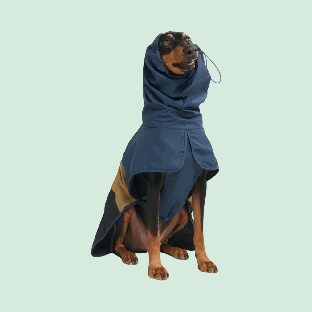 Spark Paws Hooded Dog Raincoat