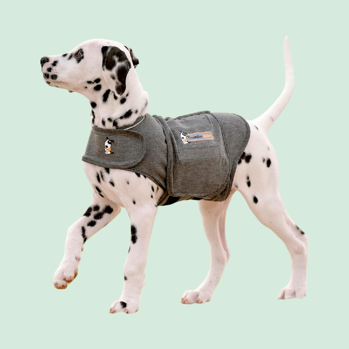 Thundershirt Calming Jacket