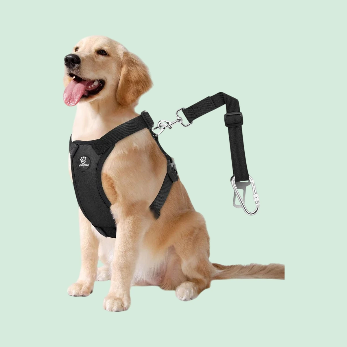 VavoPaw Car Vest Harness with Seat Belt