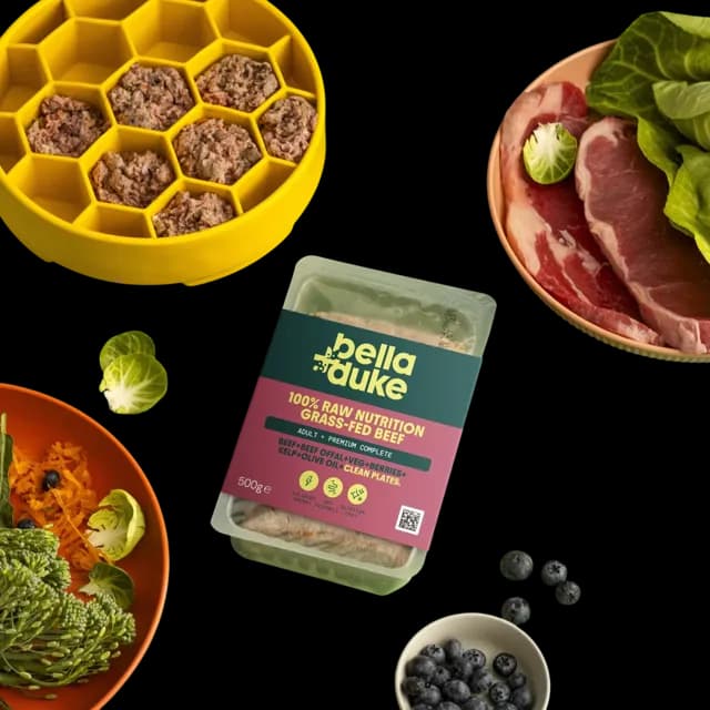 Bella + Duke Adult Complete | Premium – Grass-Fed Beef