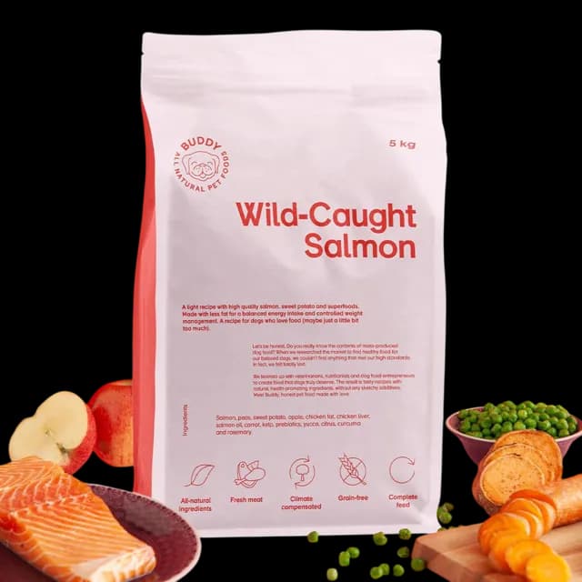 Buddy Salmon Light/Senior – —