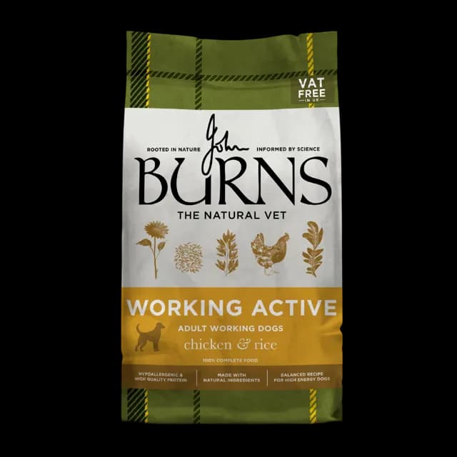 Burns Active – —