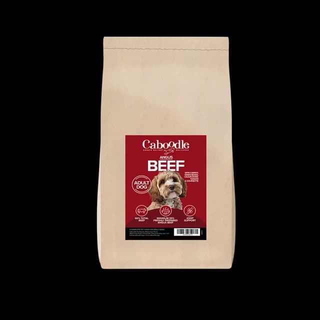 Caboodle Superfood Adult Dry Food – Angus Beef