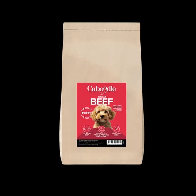 Caboodle Superfood Puppy Dry Food – Beef
