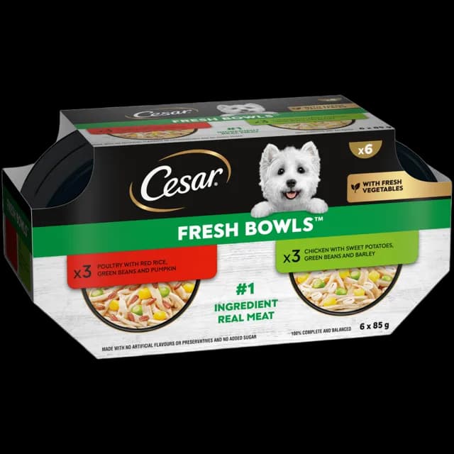 Cesar Fresh Bowl – Chicken & Poultry in Gravy