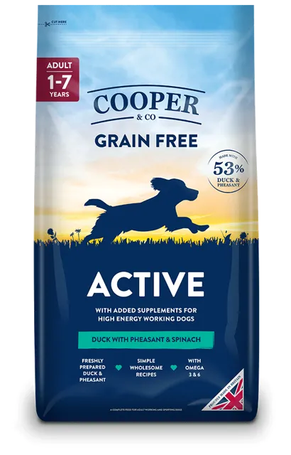 Cooper & Co Active – —