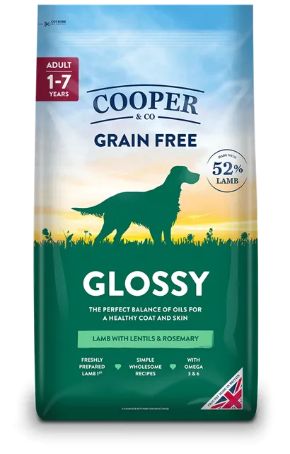 Cooper & Co Glossy – —