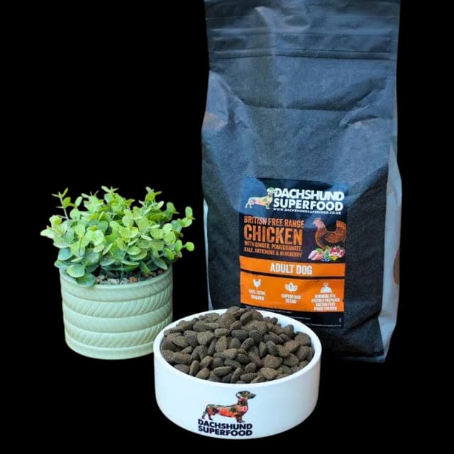 Dachshund Superfood Adult – British Free Range Chicken