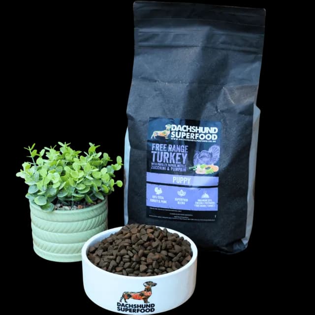 Dachshund Superfood Puppy – English Free Range Turkey