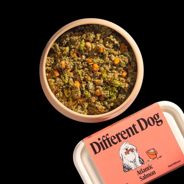 Different Dog – Atlantic Salmon