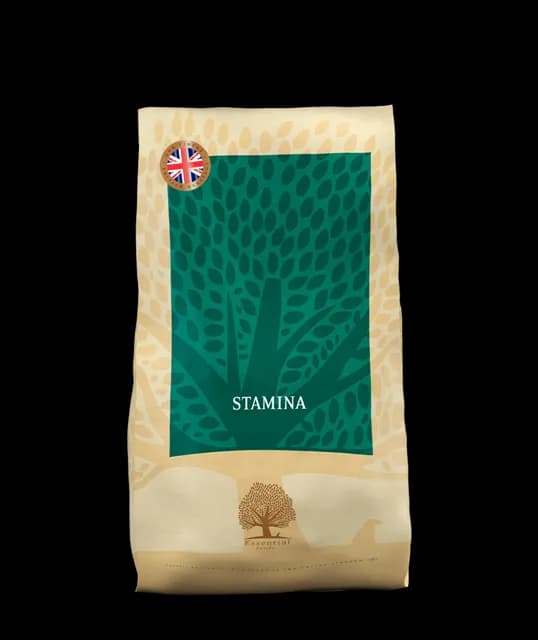 Essential Stamina – —