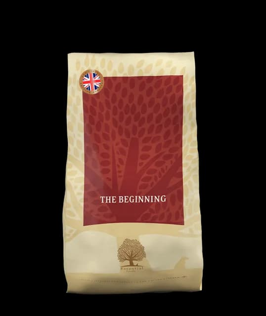 Essential The Beginning – —