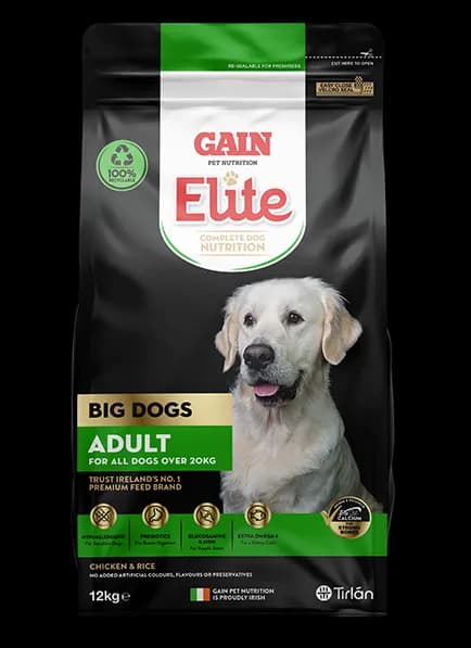 GAIN Elite Big Dogs – Adult