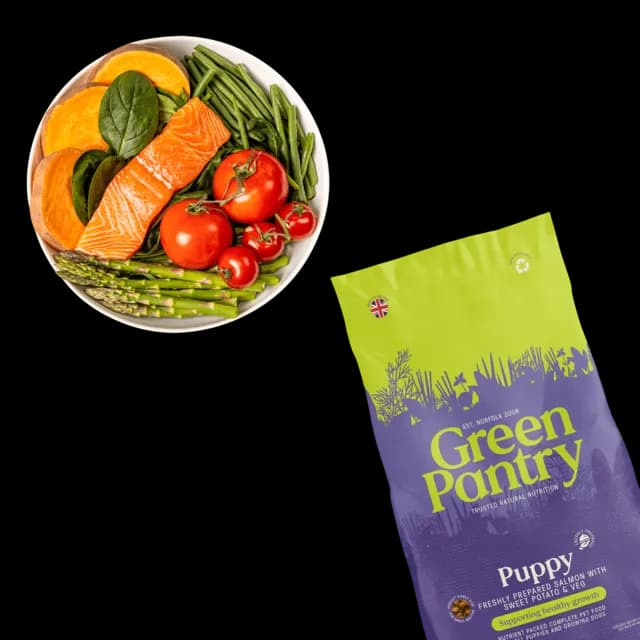 Green Pantry Puppy – Salmon with Sweet Potato & Veg