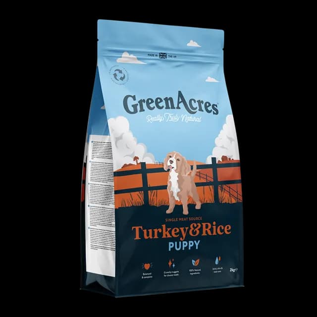 GreenAcres Puppy – —