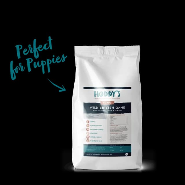 Hoddy's Puppy – —