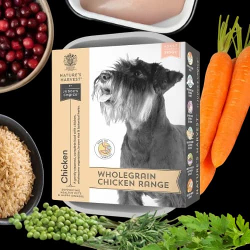 Nature's Harvest Adult – Chicken