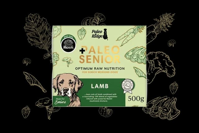 Paleo Ridge Paleo Senior – —