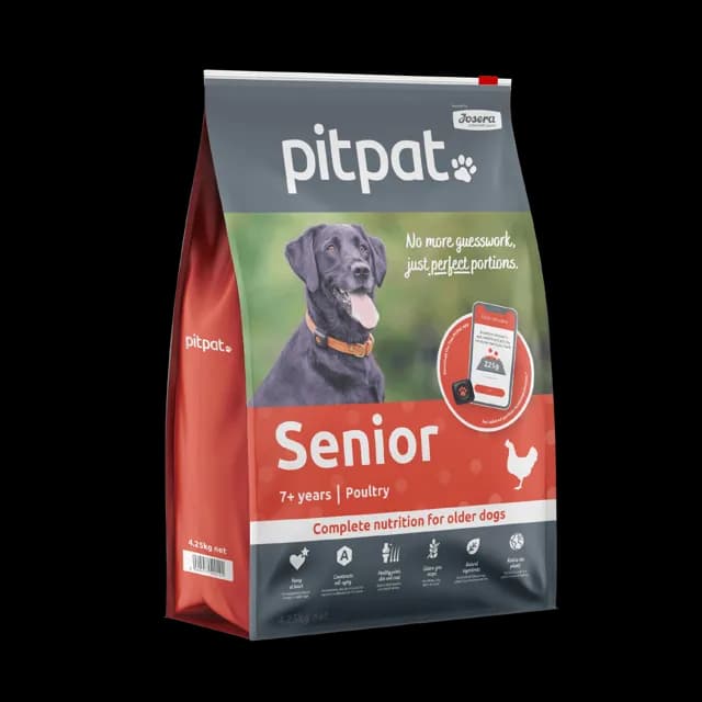 PitPat Senior Dry – —