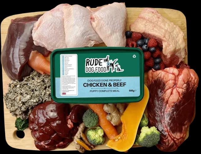 Rude Dog Food Puppy – —