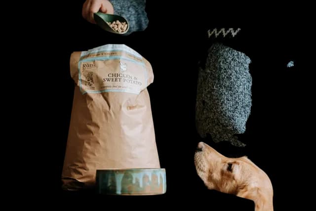 Run Premium Cold Pressed – Chicken & Sweet Potato