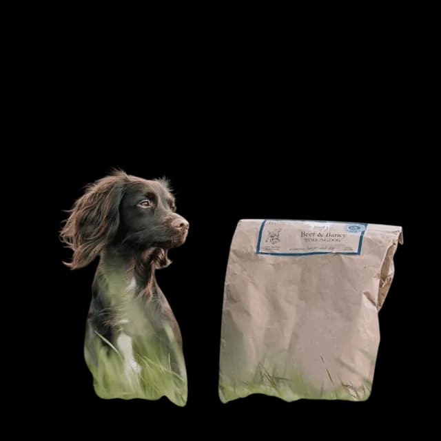 Run Working Dog Cold Pressed – Beef