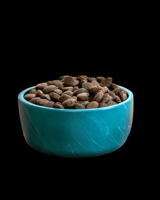 Skipper's Working Dog Food – Salmon & Potato