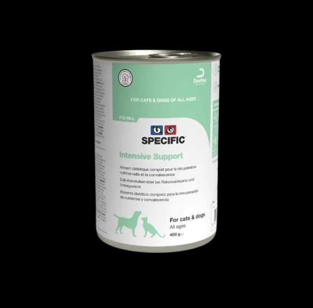 Specific F/C-IN-L Intensive Support – —