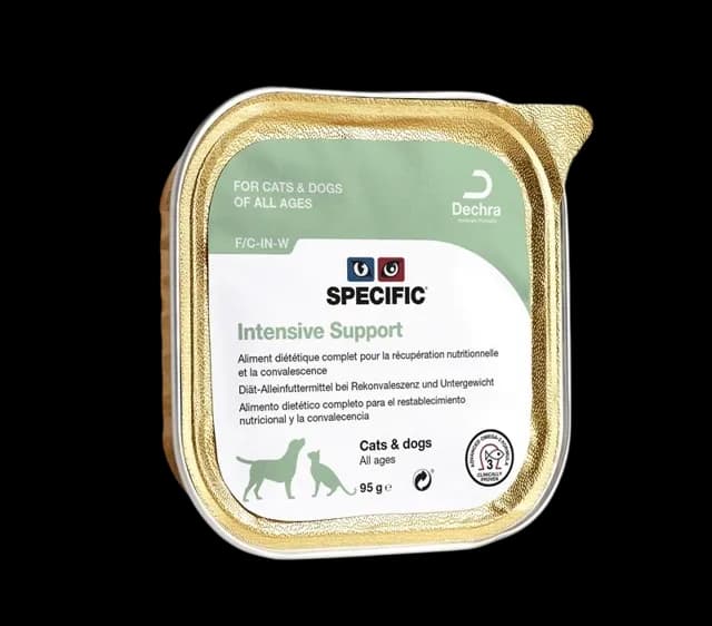 Specific F/C-IN-W Intensive Support – —