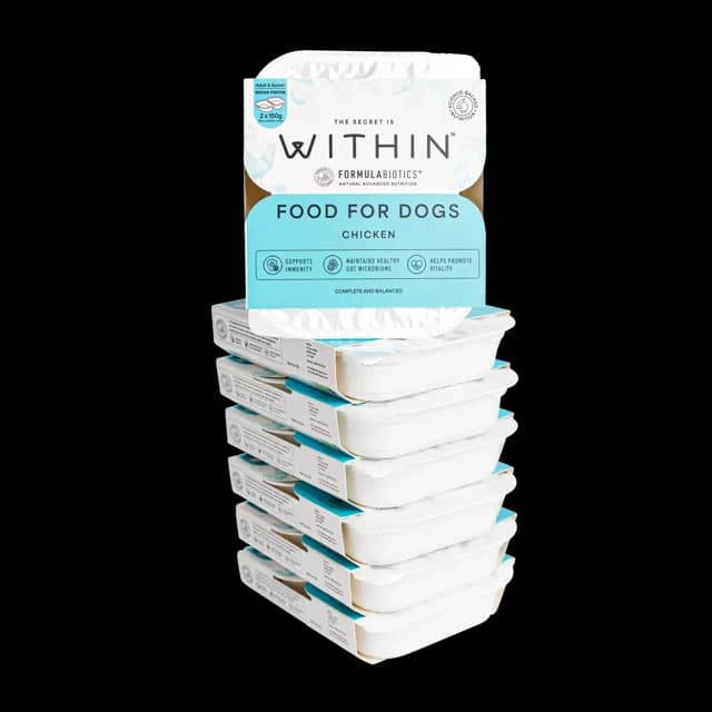 Within Adult & Senior Wet – Chicken