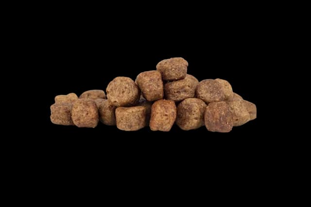WorkingHPRs Adult – Duck & Potato (No Added Grain)