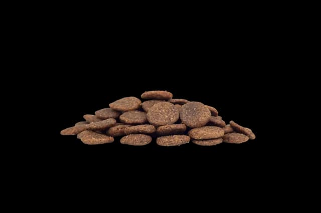WorkingHPRs Grain Free Adult – Duck, Sweet Potato & Orange