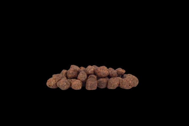 WorkingHPRs Puppy – Grain Free Chicken, Turkey & Salmon