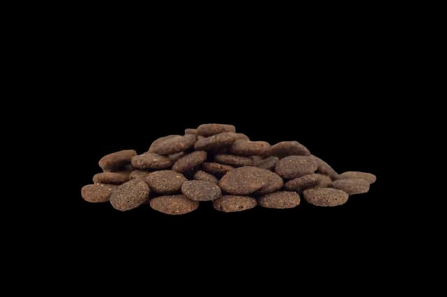 WorkingHPRs Senior – Grain Free Senior