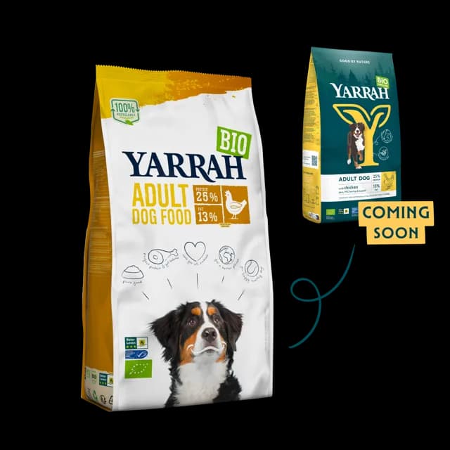 Yarrah Adult – —
